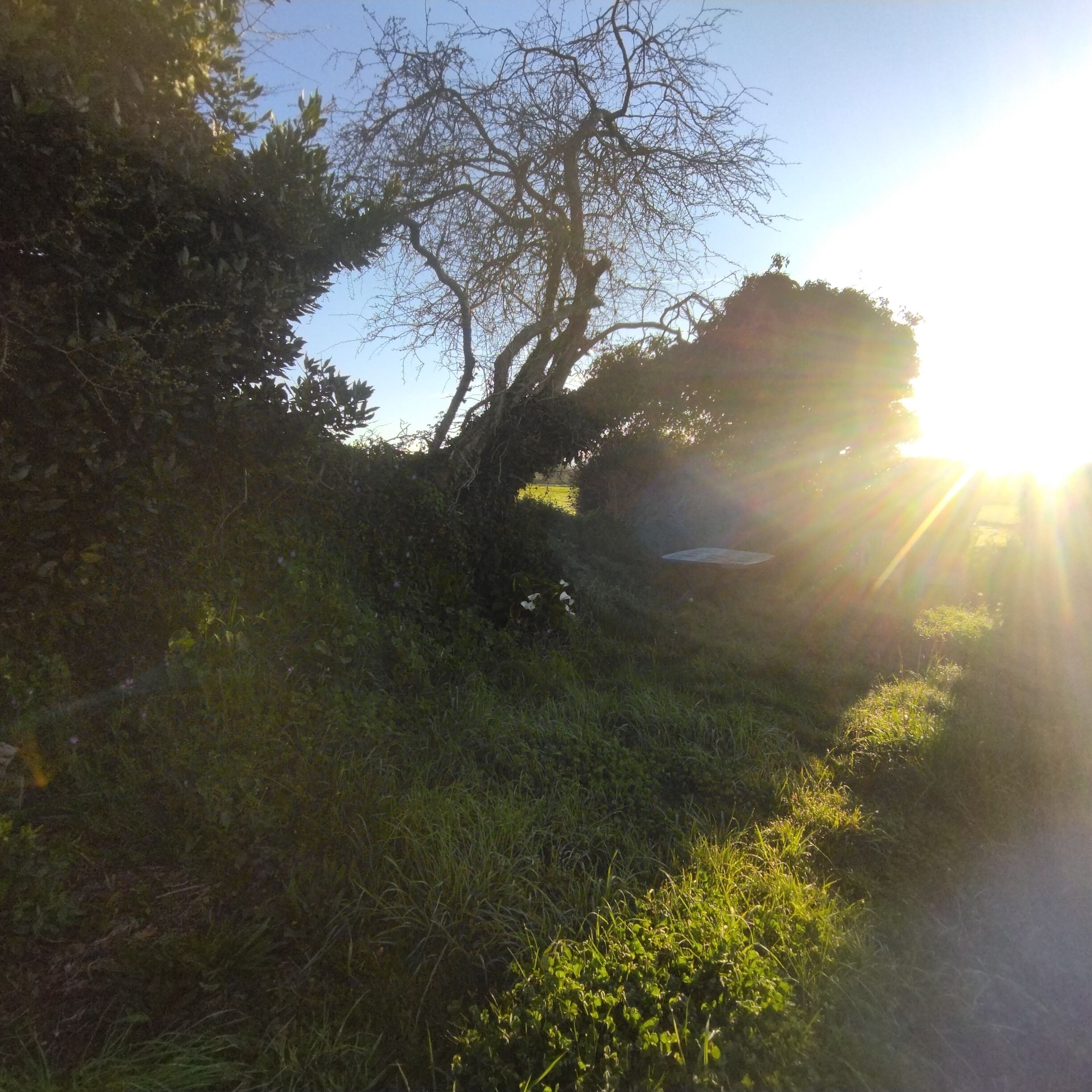 Property grounds