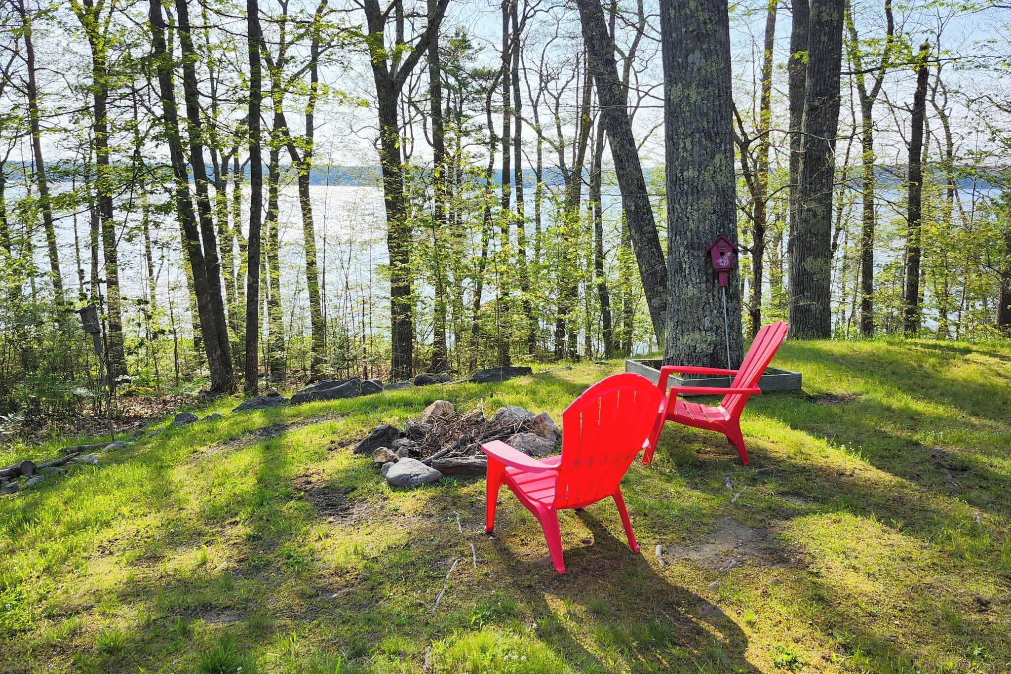 A lakeside setting with two red chairs and a birdhouse near a tree.