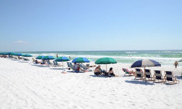 Playa en los alrededores 