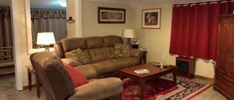 スマートテレビ、暖炉、DVD プレーヤー、書庫