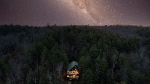 Una cabaña rodeada de un denso bosque, con un interior visible que incluye varias habitaciones y una zona de comedor.