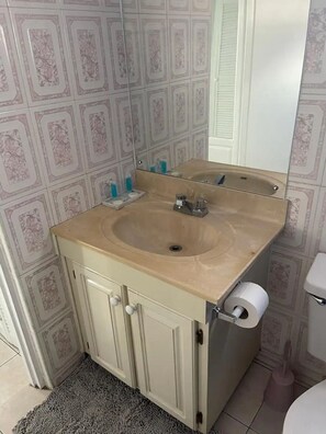 Hair dryer, towels, soap, shampoo