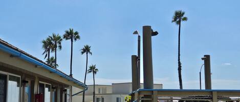 A multi-level parking structure with a blue railing, palm trees, and a clear blue sky.