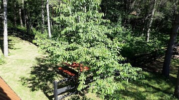 Cabane | Enceinte de lâhĂ©bergement