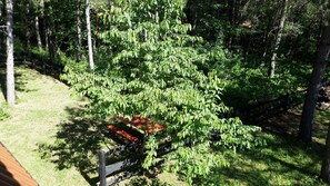Cabin | Property grounds