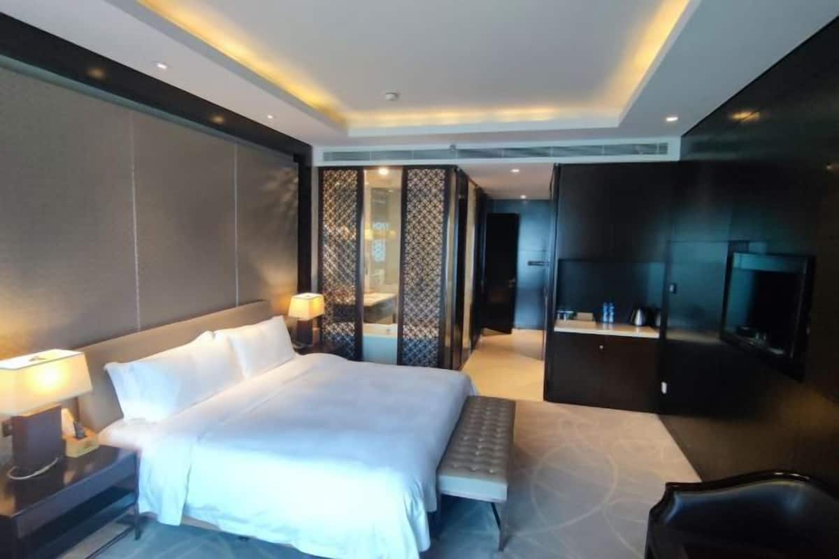 A modern hotel room with a large bed, bedside table with lamp, a TV, and a walk-in closet.