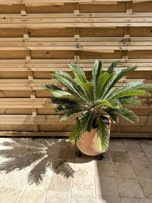 Property grounds - Maison de ville proche plage (Cannes)
