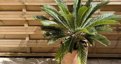 Maison de ville proche plage