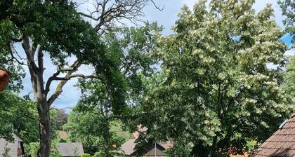 Alte Schule Jarnsen OberstĂŒbchen mit Balkon