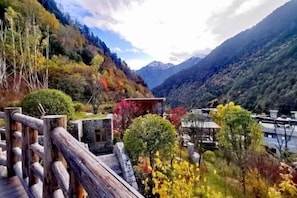 Khuôn viên nơi lưu trú