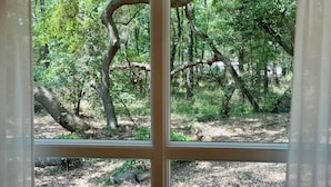 A window with a view of a forested area, including trees and a ground covered with leaves and twigs. - Live Oak Cottage - 'tiny house' / walk to beach (Kitty Hawk)