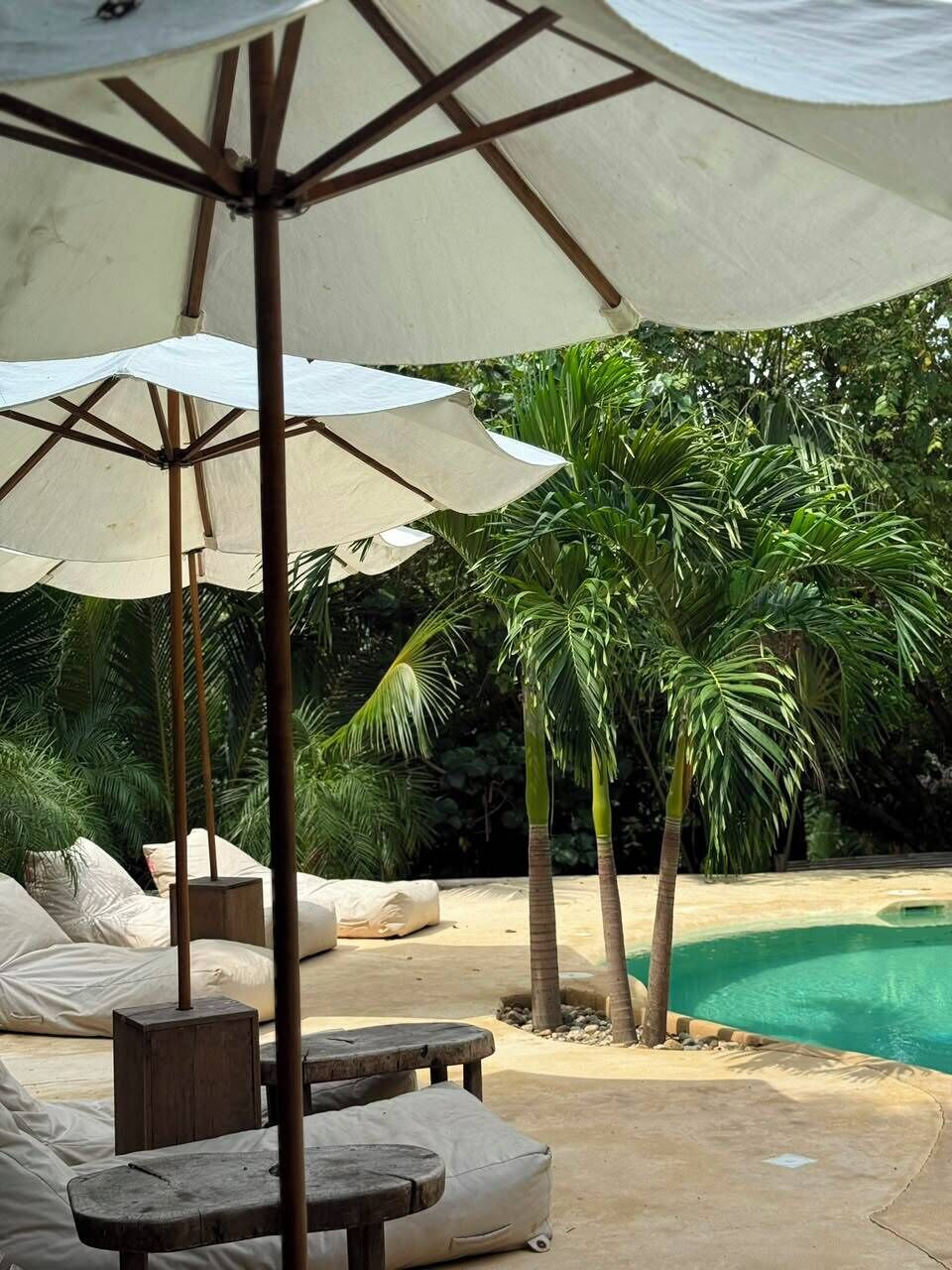 A poolside area with a covered seating area, palm trees, and a swimming pool.