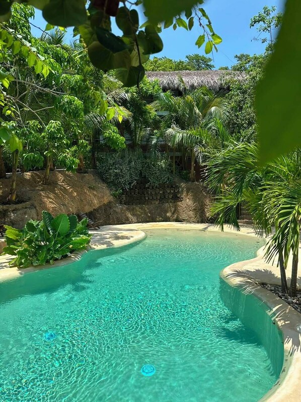 Una piscina cristalina rodeada de exuberante vegetación y una estructura con techo de paja.