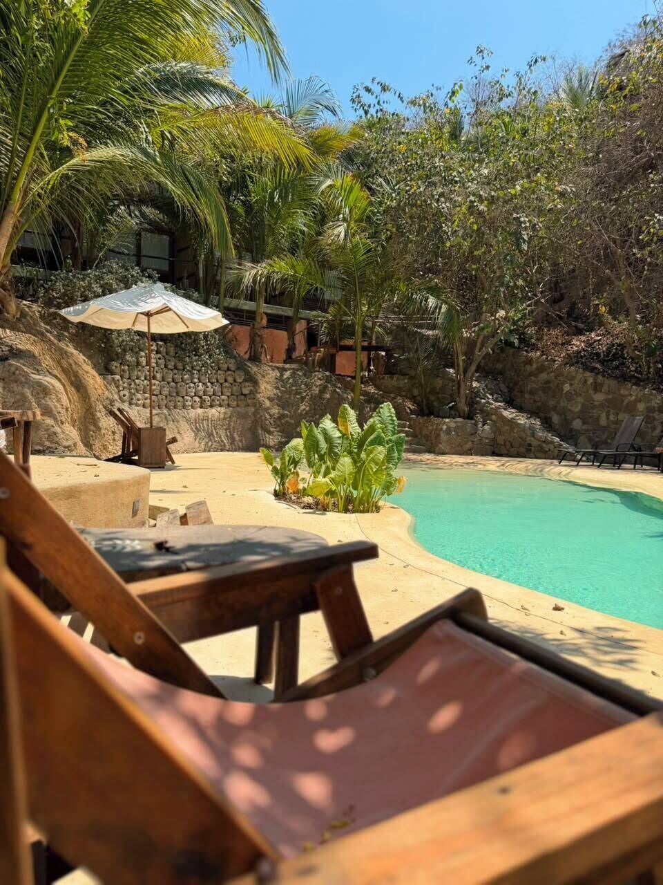 A pool area with lounge chairs, a palm tree, and a stone wall.