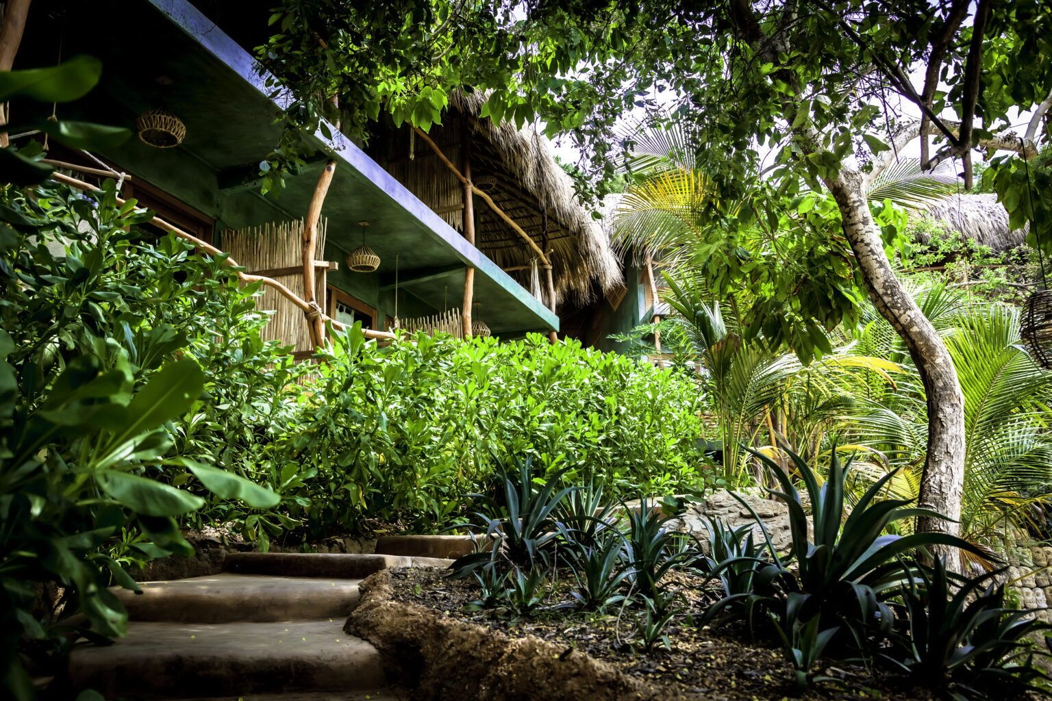 Un exuberante jardín con una estructura de techo de paja, escalones de piedra y diversas plantas tropicales.