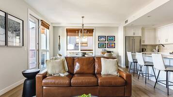 Smart TV, fireplace, Netflix, books