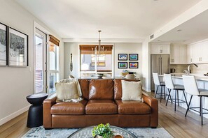 Smart TV, fireplace, Netflix, books