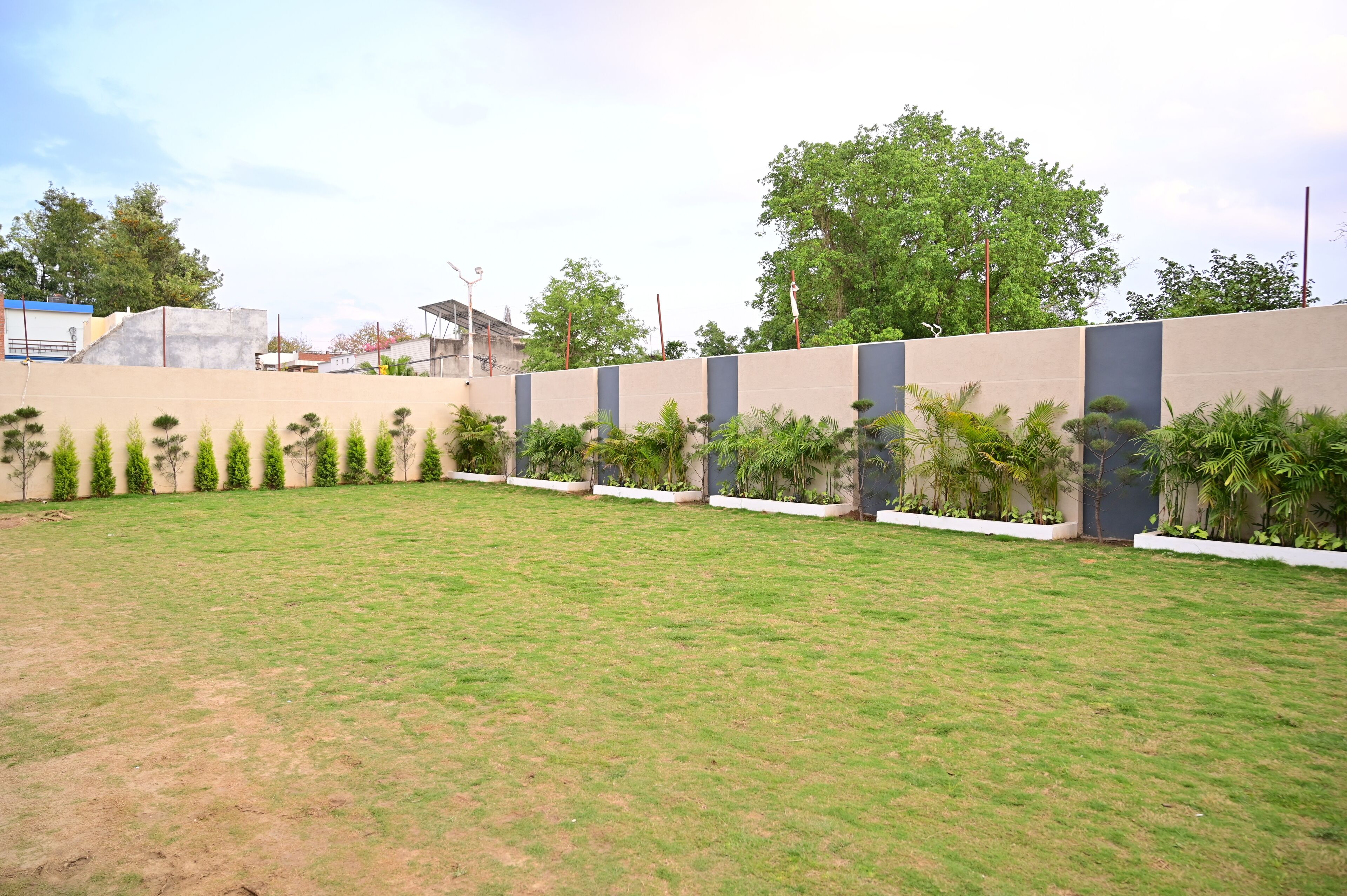 A courtyard with a low wall, potted plants, and a grassy area.