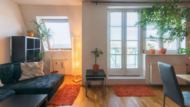 A modern living room with a black sofa, a small table, and two potted plants. There are large windows providing natural light and a view outside. - Cosy, sunny two-story apartment, 20min center (Hlavní mesto Praha)