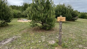 Un letrero que dice 'Whispering Pines' en un entorno natural con árboles y una estructura pequeña al fondo.