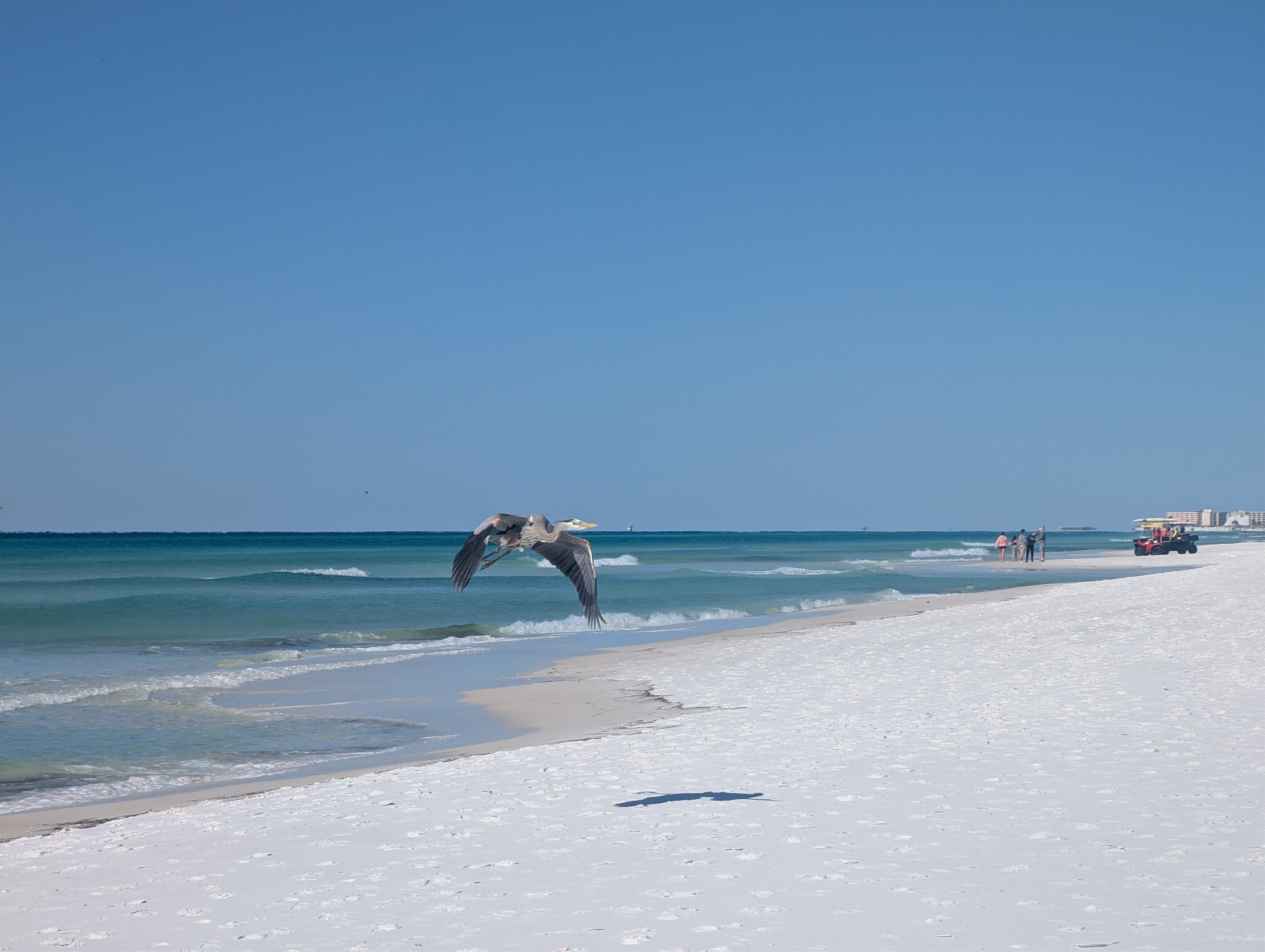 Een strand met een vliegende vogel boven het water, enkele mensen en een voertuig in het zand.