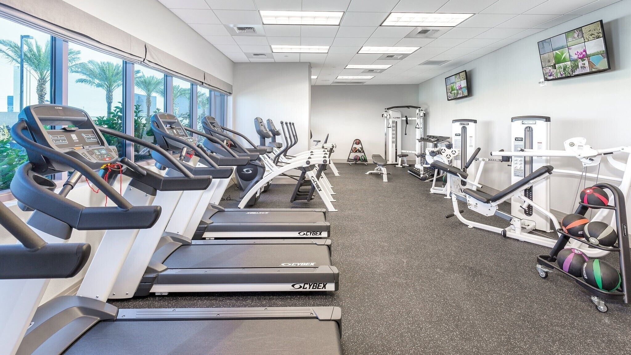 A gym with treadmills, weight machines, and exercise balls.