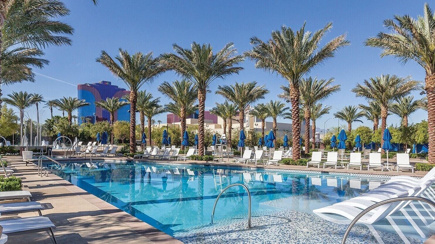 A pool area with lounge chairs and palm trees.