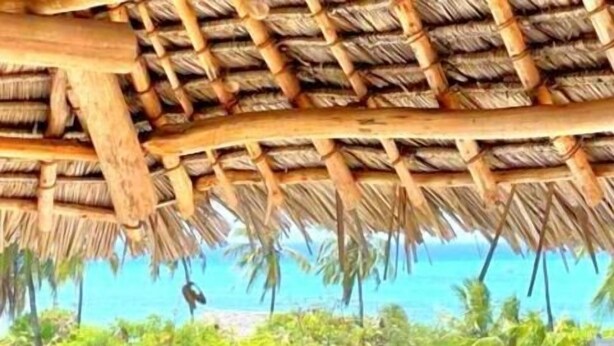 Estructura con techo de paja y vistas a una playa y palmeras.