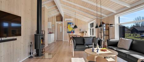 Télévision, cheminée