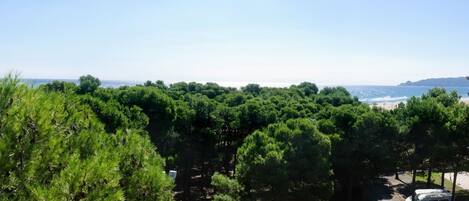 Vue depuis l’hébergement