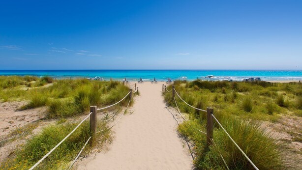 Ein Sandweg am Strand, der zum Meer führt, mit Liegestühlen und Sonnenschirmen.