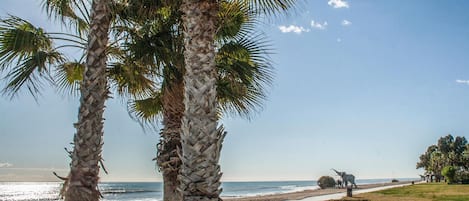 Una spiaggia nelle vicinanze