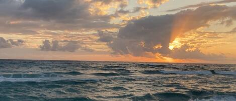 ビーチの近く、サンラウンジャー、ビーチタオル