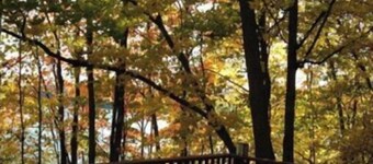 HEAVEN IN MUSKOKA, BEAUTIFUL COTTAGE,.SUPER VIEWS, XXL DECK, & FLOATING DOCK.