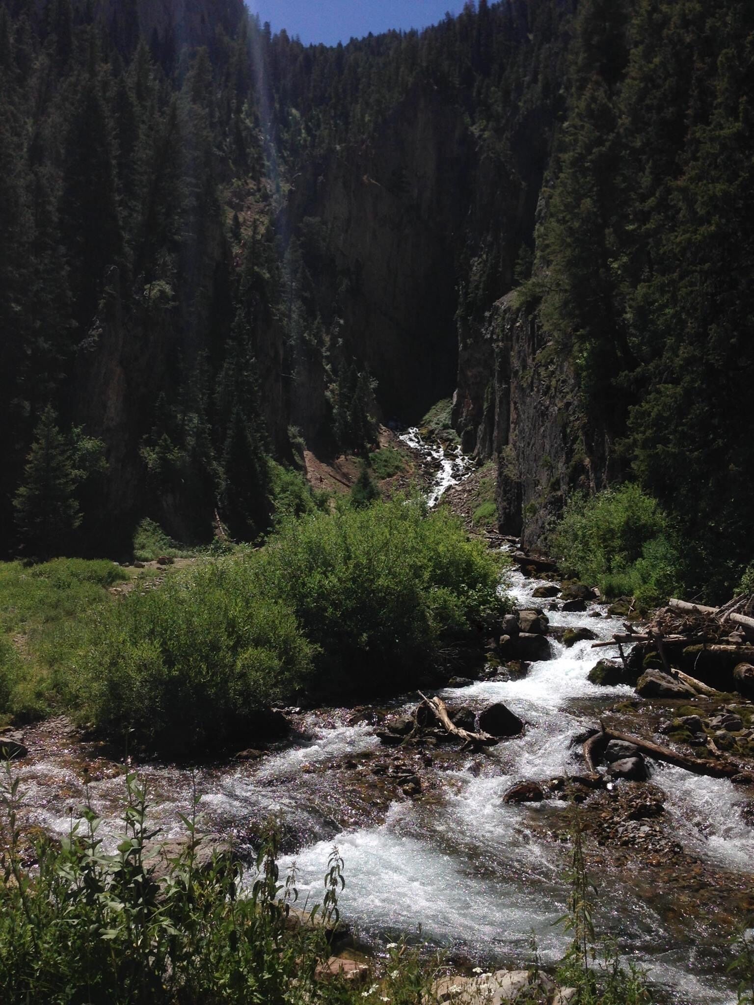 Where Greater Yellowstone adventures begin., Star Valley Ranch, WY Vacation Rental Cabin ByOwner