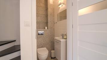Shower, hair dryer