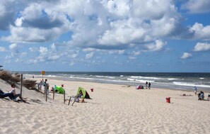 Vlak bij het strand, vissen