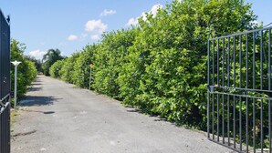 Un camí pavimentat flanquejat per vegetació verda abundant i unes reixes metàl·liques, que condueix a un edifici.