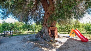 Un arbre amb un tobogan de fusta i una boscaderia a prop.