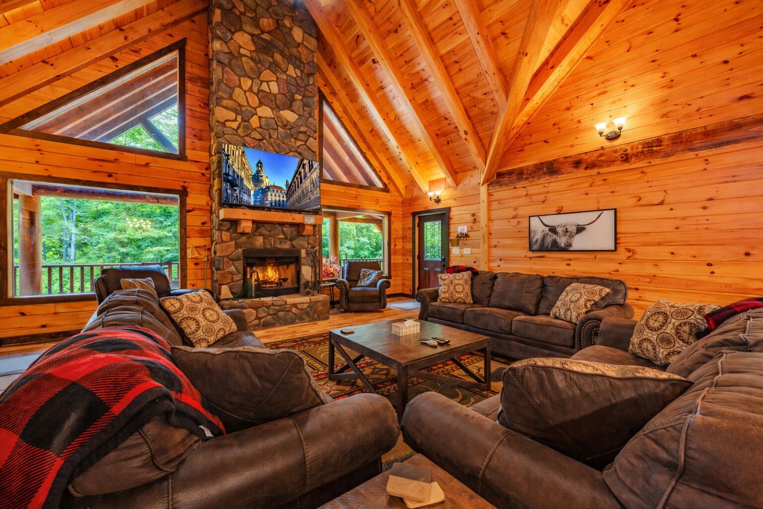 Smart TV, fireplace, video games, DVD player