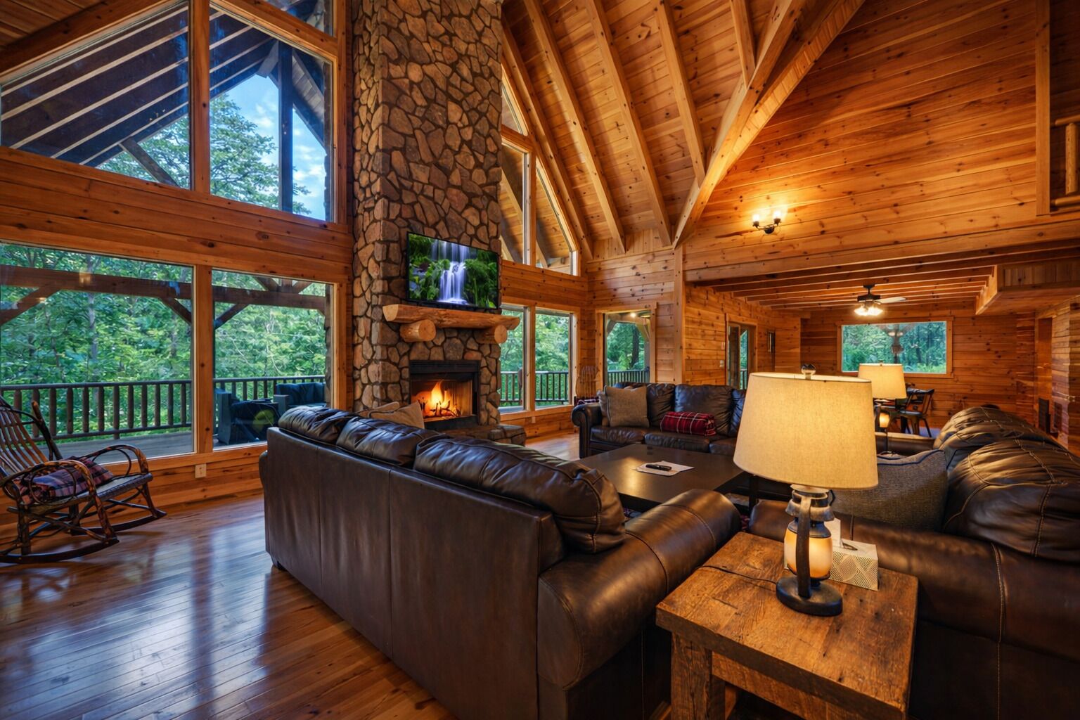 Smart TV, fireplace, DVD player, books