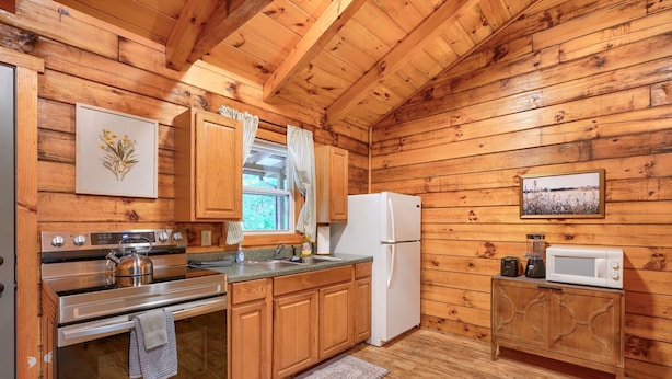Une cuisine rustique aménagée dans une cabane en bois, avec un poêle, un réfrigérateur, un four à micro-ondes et des placards en bois.
