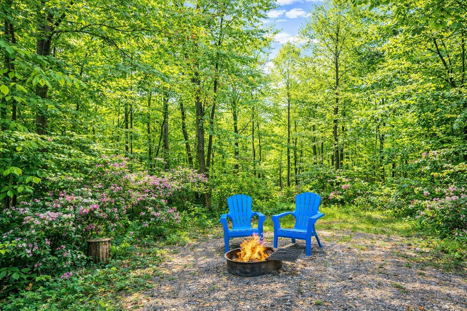 A forest with two blue chairs and a fire pit.