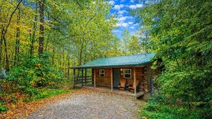 A rustic cabin with a porch, surrounded by dense forest and a gravel path.
