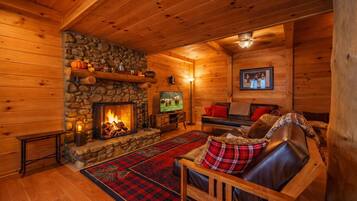 TV connectée, cheminée, lecteur de DVD, livres