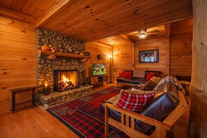 Smart TV, fireplace, DVD player, books