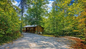 A cabin surrounded by dense forest with a gravel driveway leading to it.