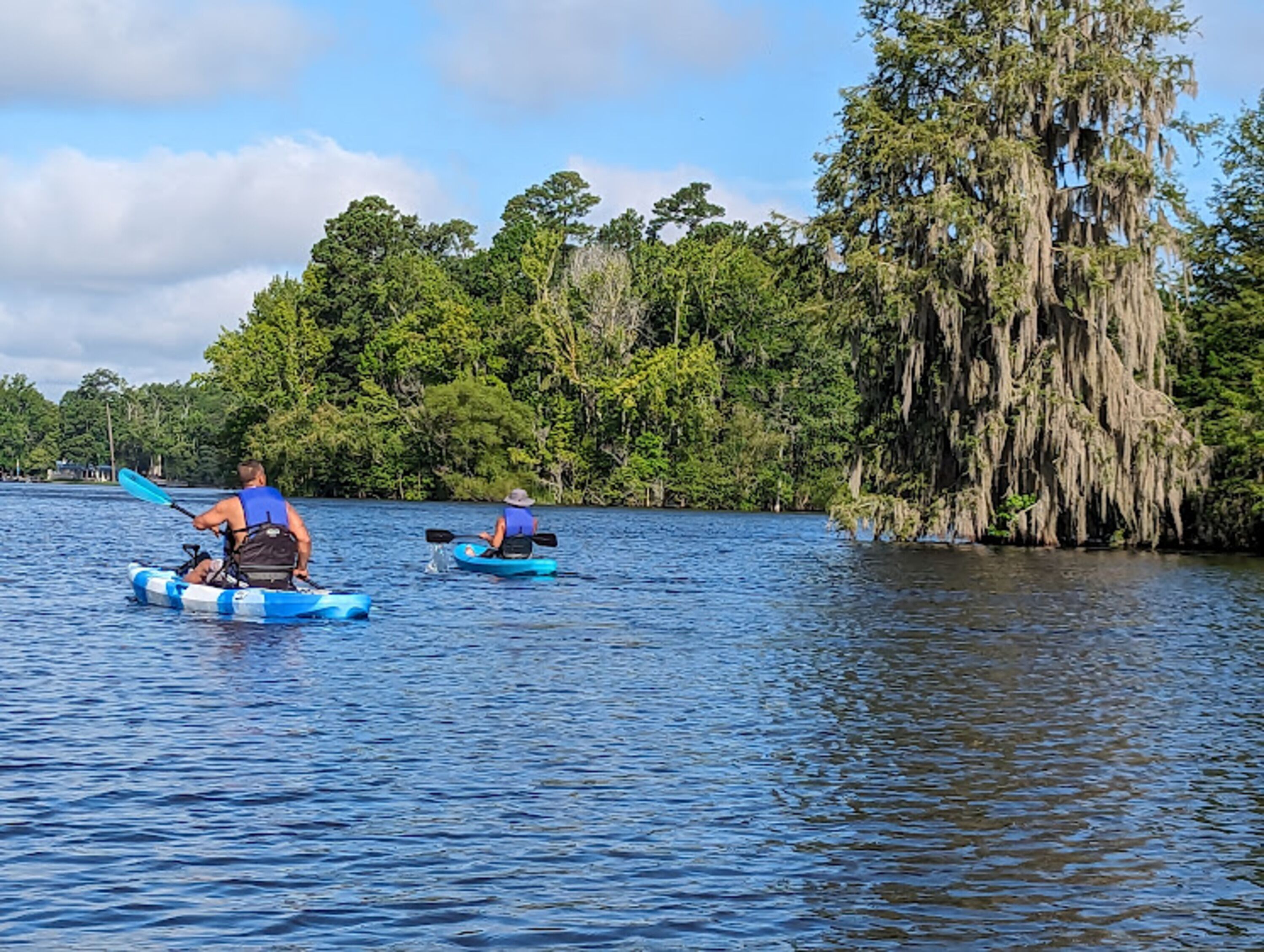 Dos kayakistas en aguas tranquilas rodeados de un bosque frondoso.