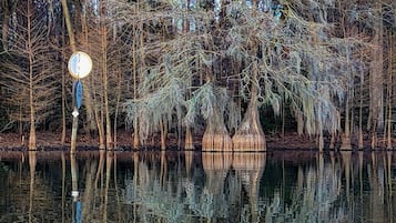 A calm lake with reflections of trees and a circular sign.