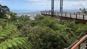 A pedestrian bridge with a metal framework and wooden walkway, surrounded by dense green foliage. - Surf Break On Bruxner - Korora (Pet Friendly) (Korora)